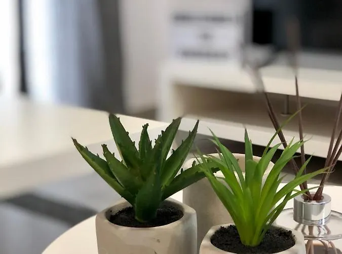 Klm House Apartman *